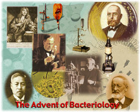 Bacteriology